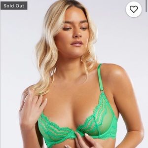 NWT Fishnet and Lace unlined demi bra